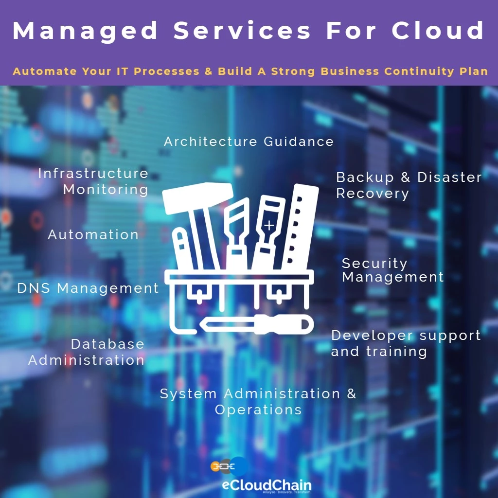 Cloud Managed Services Provider Activities